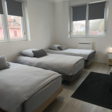 Appartement Entier F3 Renove - Petite Pause A Sélestat Kültér fotó