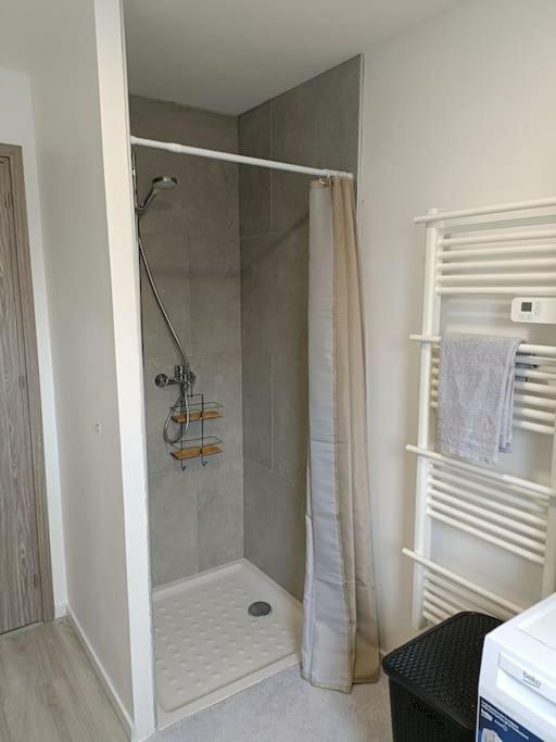 Appartement Entier F3 Renove - Petite Pause A Sélestat Kültér fotó