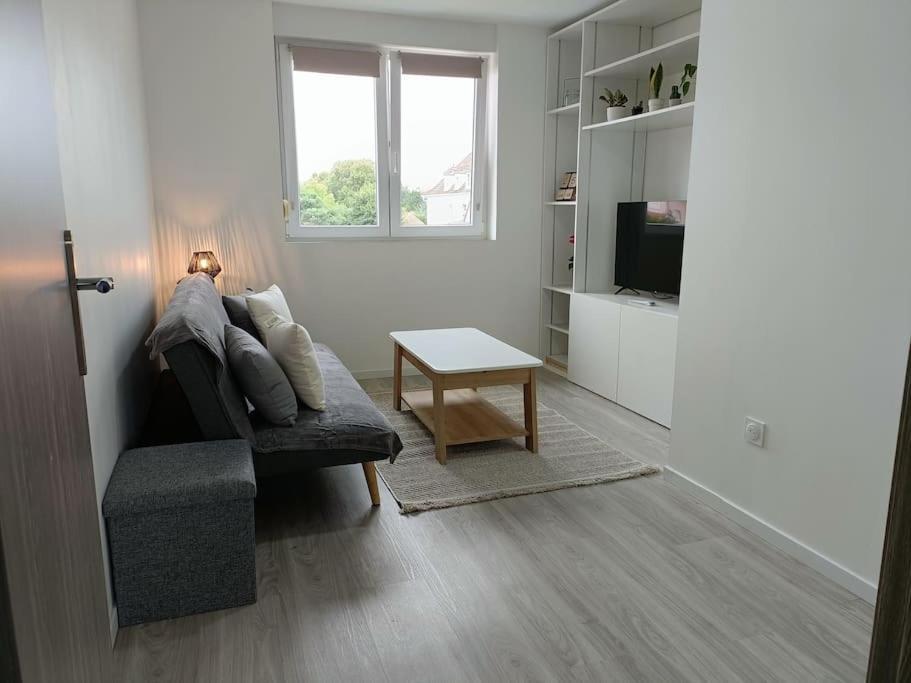 Appartement Entier F3 Renove - Petite Pause A Sélestat Kültér fotó