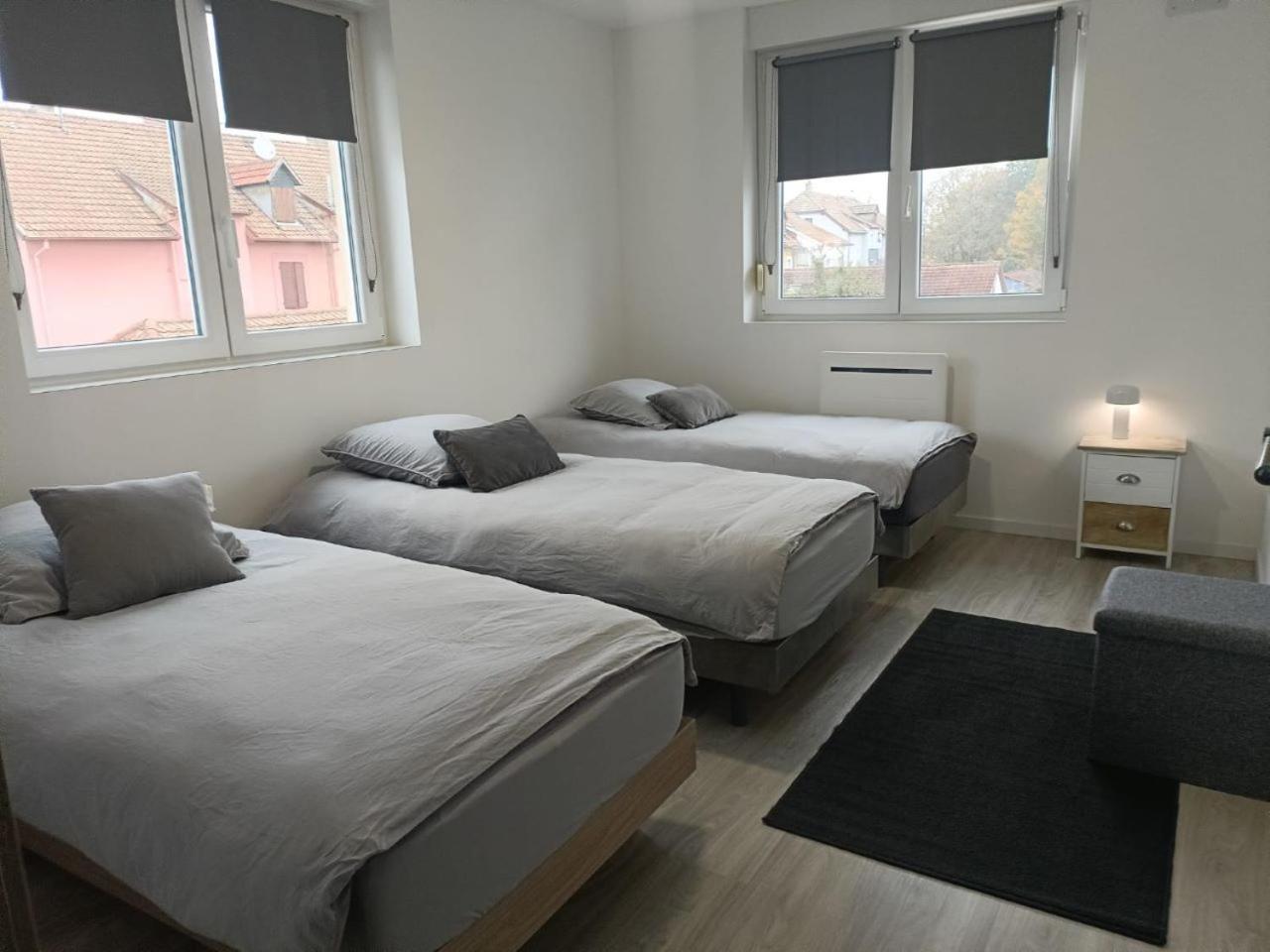 Appartement Entier F3 Renove - Petite Pause A Sélestat Kültér fotó